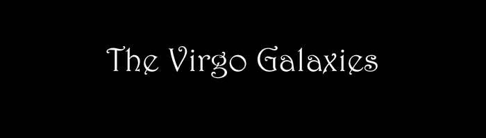 The Virgo Galaxies