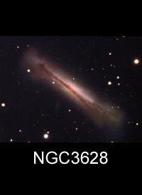 NGC3628