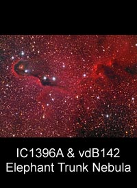 IC1396A&nbsp;&&nbsp;vdB142 - The Elephant Trunk Nebula